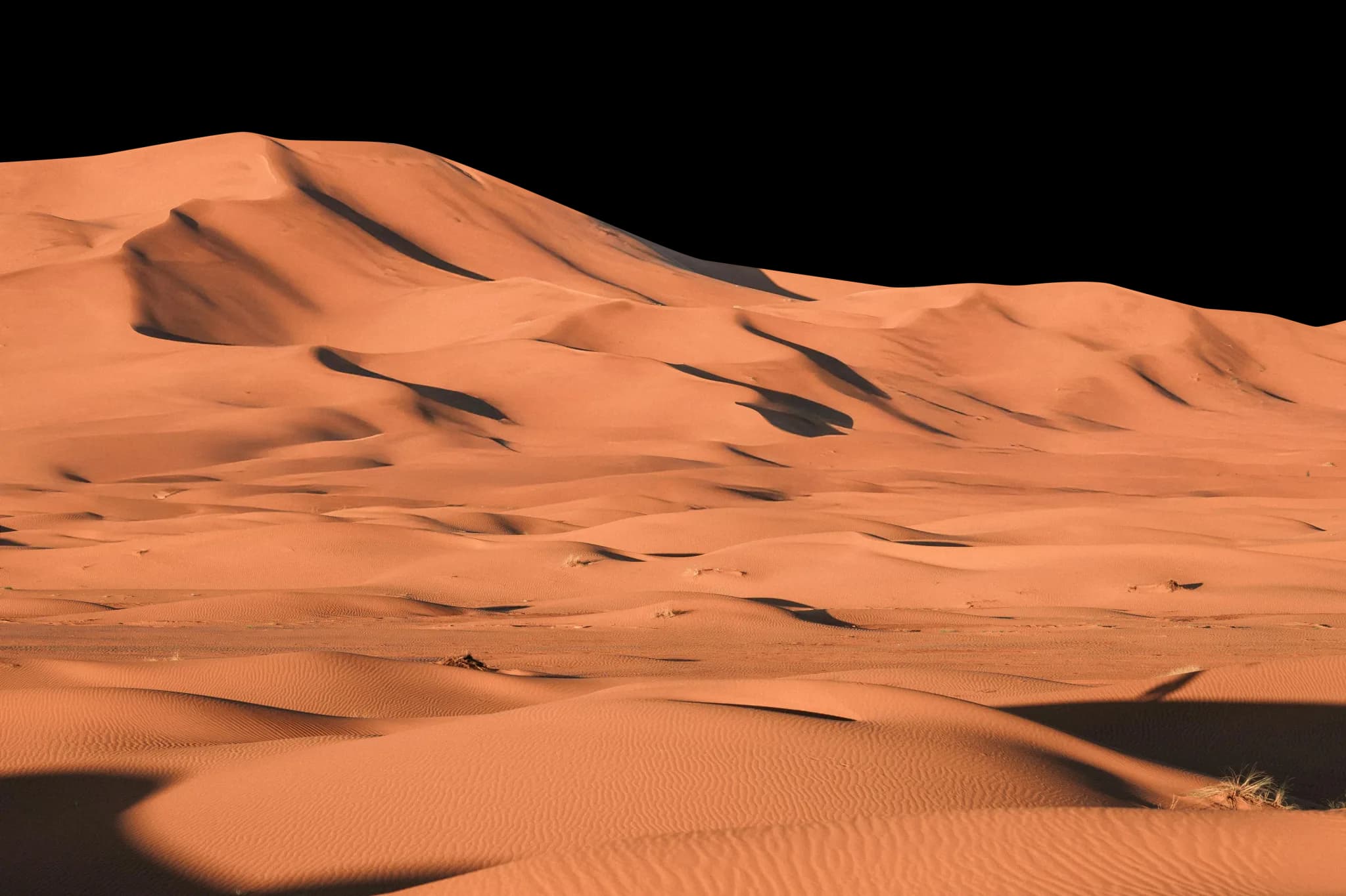 Desert